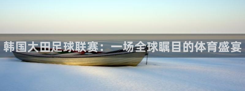 韩国大田足球联赛:一场全球瞩目的体育盛宴