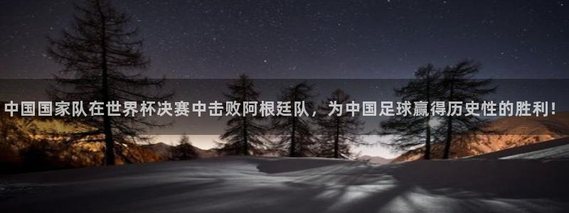 中国国家队在世界杯决赛中击败阿根廷队,为中国足球赢得历史性的