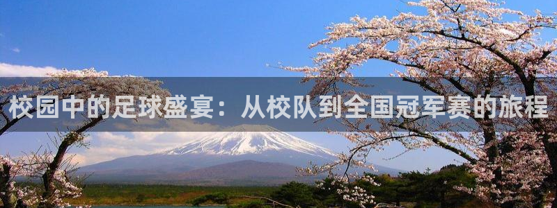 校园中的足球盛宴:从校队到全国冠军赛的旅程