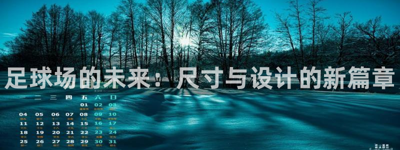 足球场的未来:尺寸与设计的新篇章