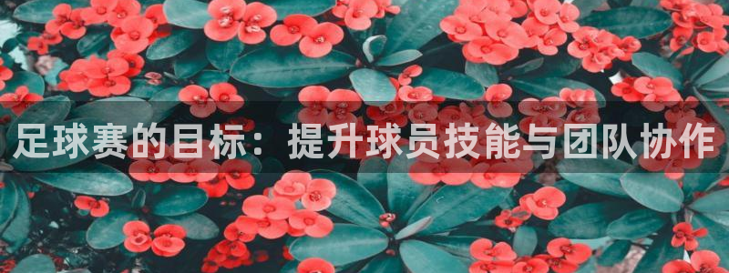 足球赛的目标:提升球员技能与团队协作